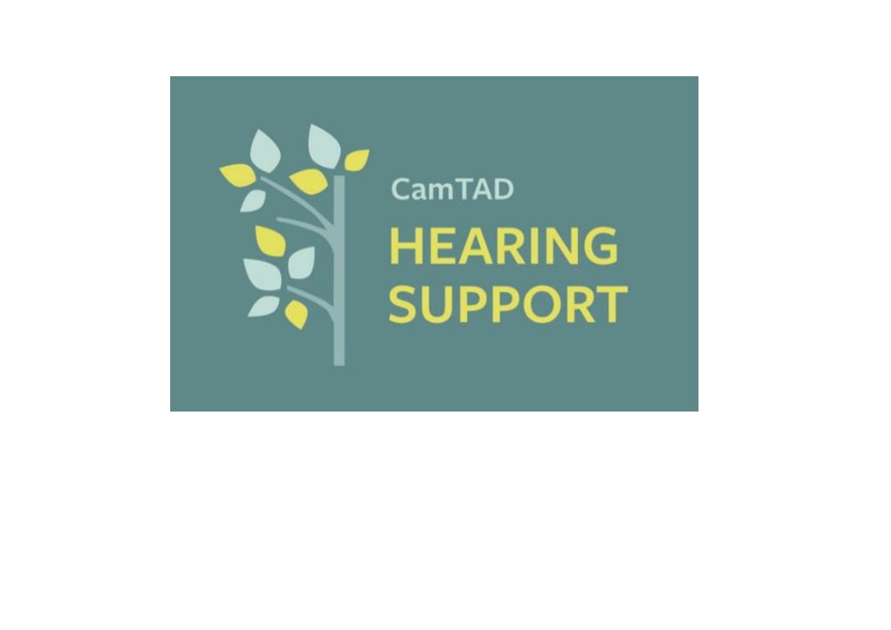 Hearing Aid Support